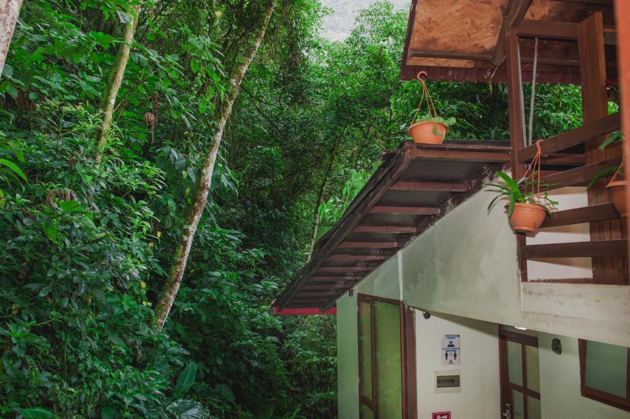 Rupa Rupa High Jungle Eco B&B Machu Picchu Esterno foto